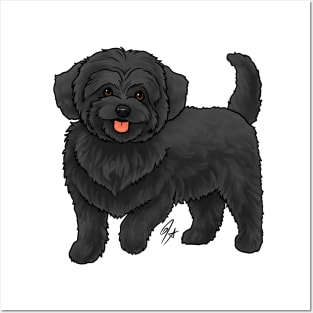 Dog - Maltipoo - Black Posters and Art